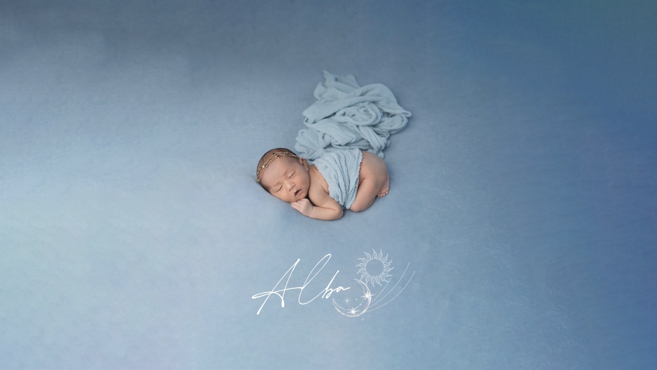 メインビジュアル画像